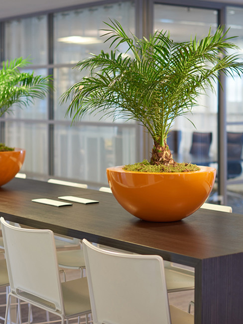 TISCHGEFÄSSE